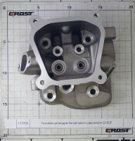 Головка цилиндра бензинового двигателя G160F